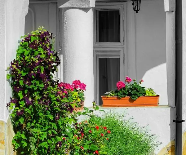 Demetrovics Udvarhaz Эгер