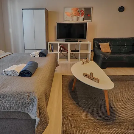 Demetrovics Udvarház Apartman *