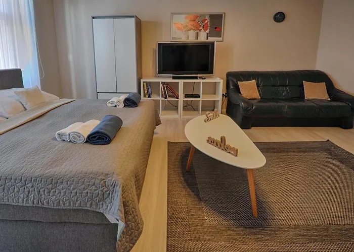 Demetrovics Udvarház Apartman *